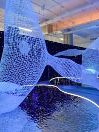 上海免費新展一起來「摸魚」！