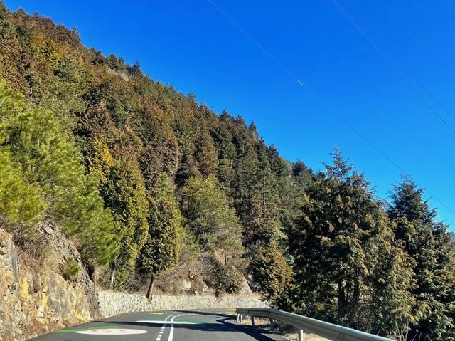 別再盲目亂逛，這兩條括蒼山線路帶你深度遊！