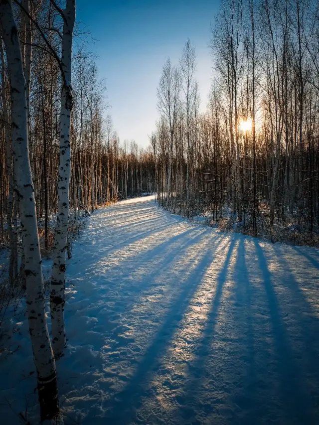 3-Day Itinerary for Mohe