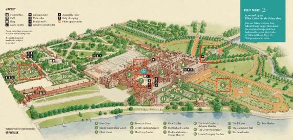 Complete Guide to the Hampton Court Palace Tulip Festival