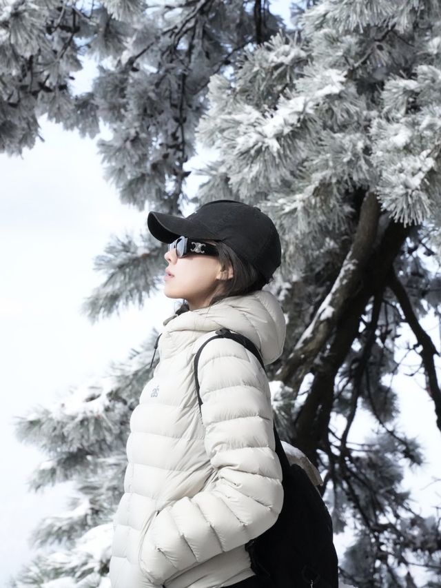 西安出發40分鐘 | 秦嶺冬日雪國秘境登高賞雪