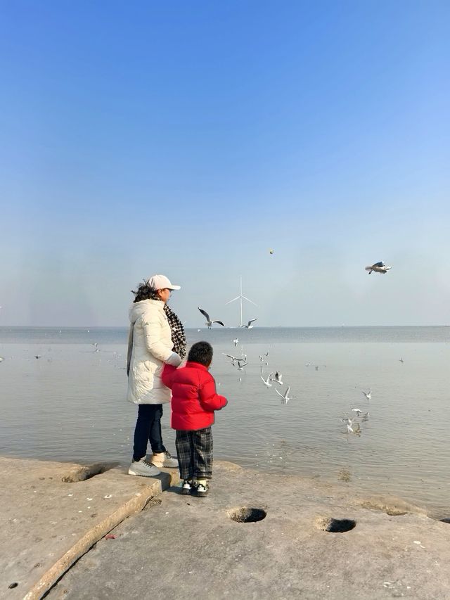 自駕天津東疆親海公園，帶娃看海鷗