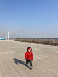 自駕天津東疆親海公園，帶娃看海鷗