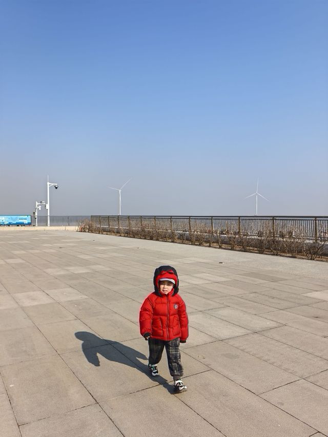 自駕天津東疆親海公園，帶娃看海鷗