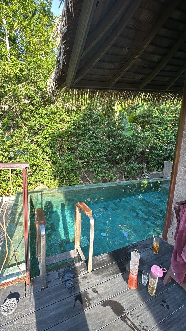 普吉島鳥巢泳池別墅N次體驗