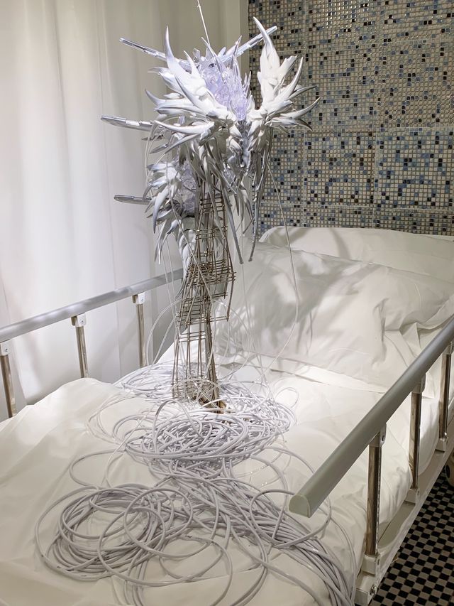 魔都免費睇展,根深亦自由 魔都免費睇展,根深亦自由