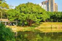 公園20分鐘效應