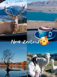 Queenstown Deer park in New Zealand😍❤️