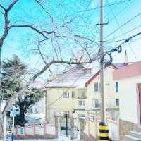 24年不遇嘅大雪，青島嘅海變成咗點樣？