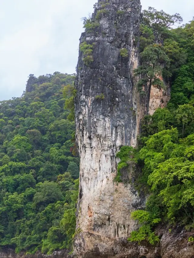 겨울 방학 싱가포르-말레이시아 여행 무비자로 편하게 즐기세요