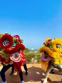 ——珠海市景山公園與索道：奇妙之旅