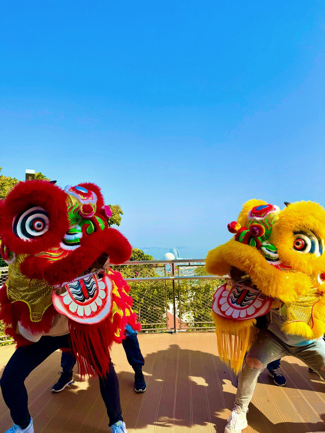 ——珠海市景山公園與索道：奇妙之旅