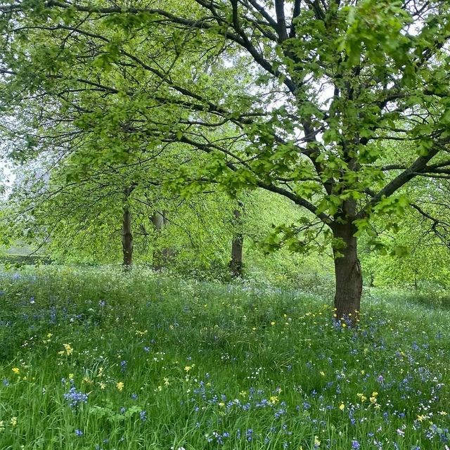 闖入英式莊園，邂逅百年時光