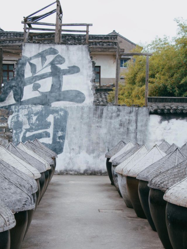 邂逅海鹽沈蕩，體驗江南水鄉的韻味