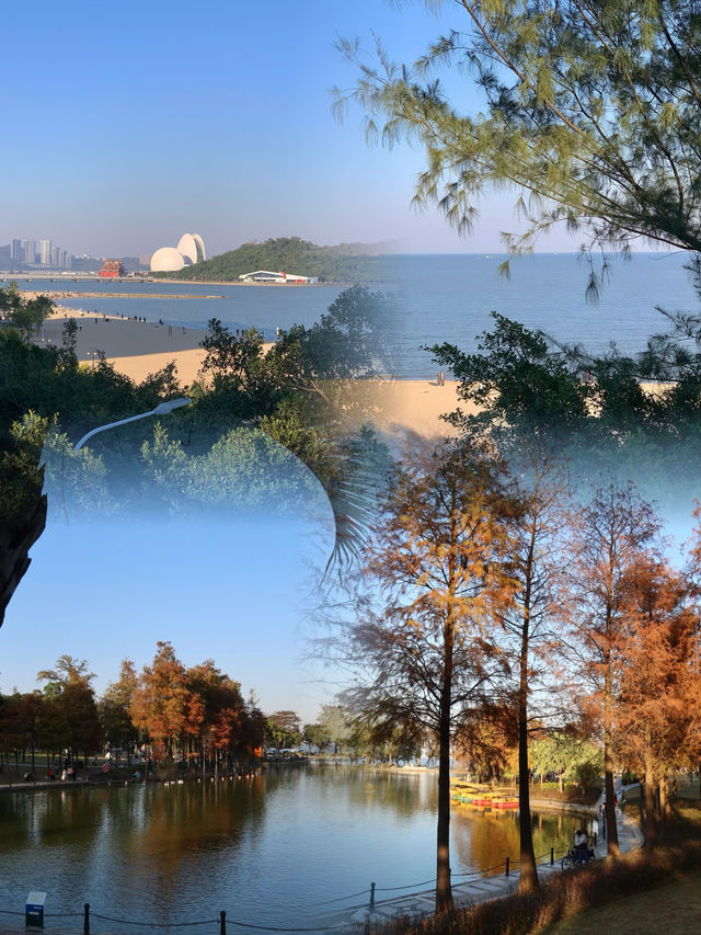 珠海限定！藏在海濱公園的冬日童話