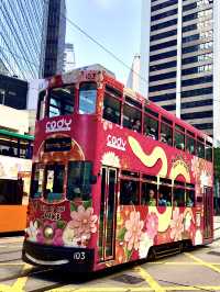 Hong Kong 🇭🇰 Day Trip!