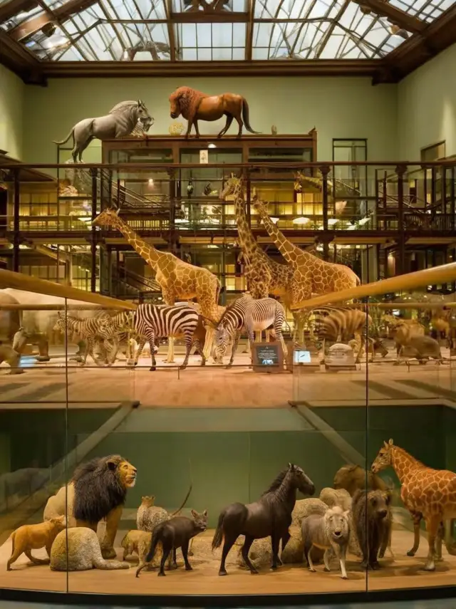 Wow! A must-visit place for kids in Chengdu: Chengdu Museum of Natural History