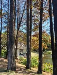 四海公園