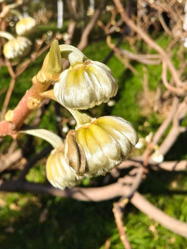 豐慶公園春已至，美好終將來臨！