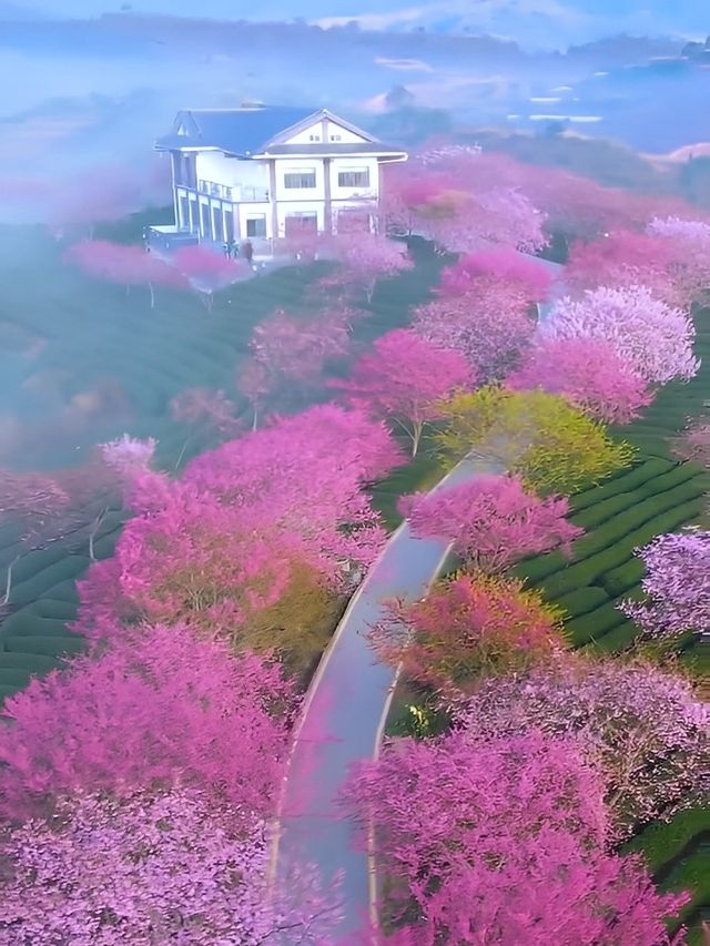 春遊記 | 《國家地理》誠不欺我，福建的春天美得讓人心醉
