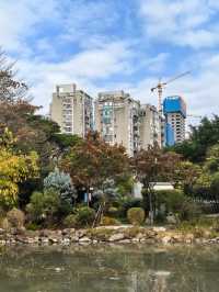 公園又見碧波起