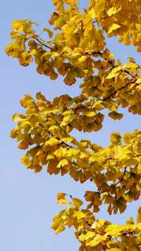 遇見不一樣的「花溪」！