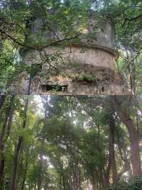 英山帶你邂逅小眾寶藏地