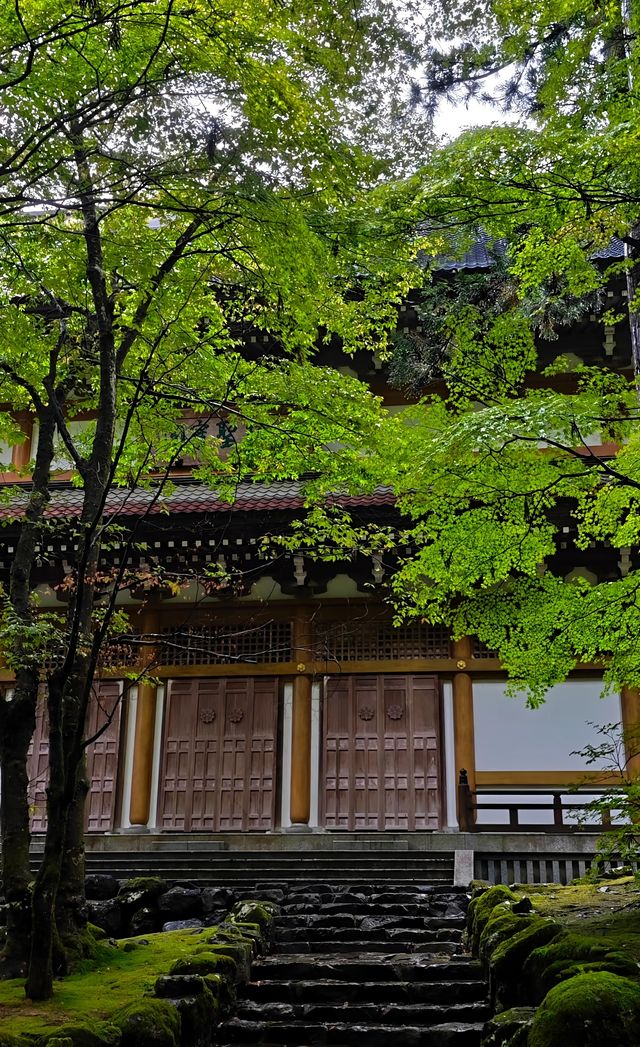福井永平寺｜隱匿山林，承載禪意的神秘廟宇