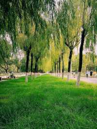 Zhengzhou: Cradle of Chinese Civilization, Full Itinerary