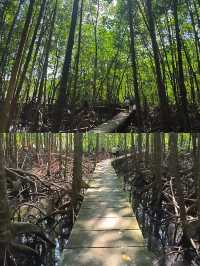 帶你遊覽柬埔寨邊境城市之戈公市
