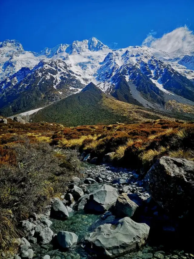 뉴질랜드 8일 여행 계획