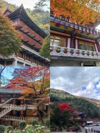 探索韓國丹陽郡救仁寺 | 心靈的寧靜之所