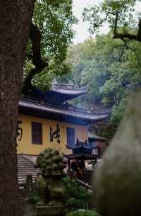 普陀山春季祈福三日遊攻略
