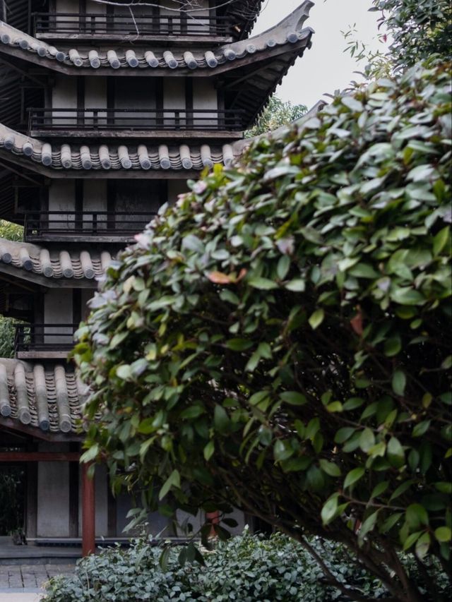 鄭州綠博園