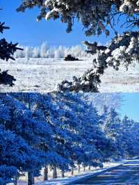 呼倫貝爾5日深度遊滑雪探秘全攻略
