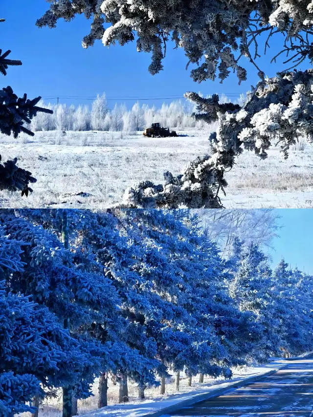 Hulunbuir 5-Day In-Depth Ski Exploration Guide