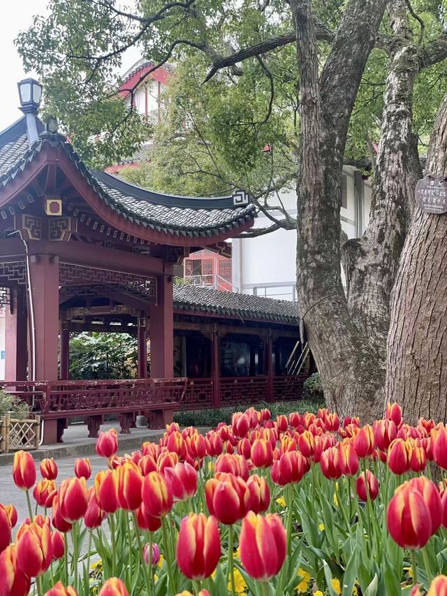 春日嚟青島旅遊，到湛山寺祈福啦