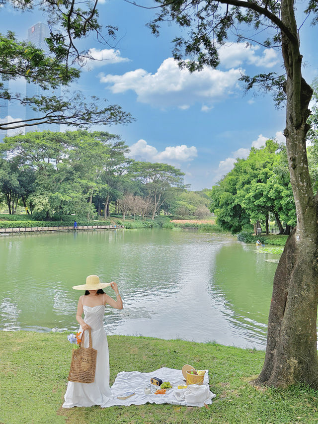 深圳嘅春天，我都想攤喺湖邊野餐hea吓