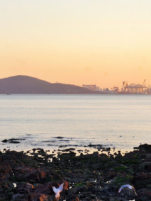 青島春日漫遊 | 3天2晚承包你的碧海藍天