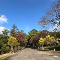 紫馬嶺公園自然與人文的悠閒之旅