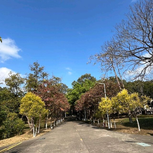 紫馬嶺公園自然與人文的悠閒之旅