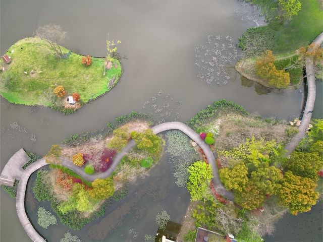 長興島濕地公園，春日治癒系被這裡承包了！