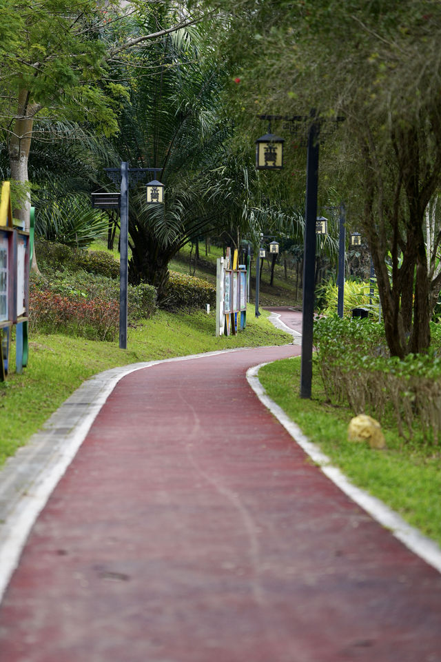 瓊中濕地公園——自然與詩意的邂逅