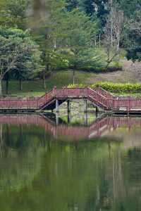 瓊中濕地公園——自然與詩意的邂逅