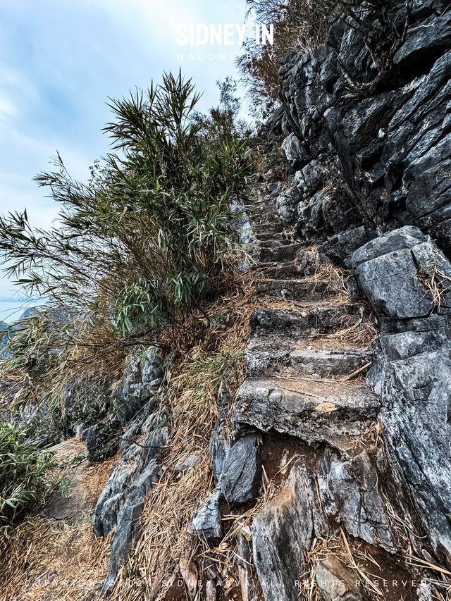 🇻🇳下龍灣顫抖登頂❗️人生封面在此🏞