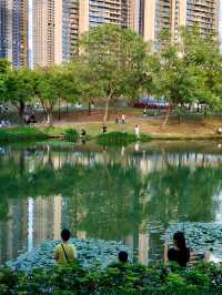 深圳最適合帶小朋友捉魚釣魚的公園