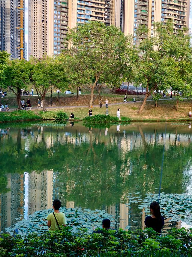深圳最適合帶小朋友捉魚釣魚的公園