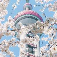 東方明珠｜四月花神🌸