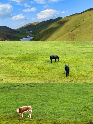 This truly is Yunnan, the Dahaicaoshan in a fairytale world.