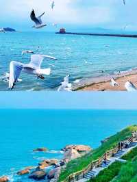 來青島，赴一場「啤」氣相投的約